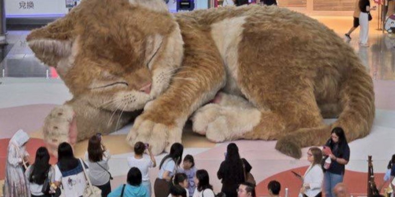Η Catzilla κατακτά το αεροδρόμιο του Χονγκ Κονγκ: Η γιγάντια διαδραστική γάτα που ενθουσιάζει τους ταξιδιώτες