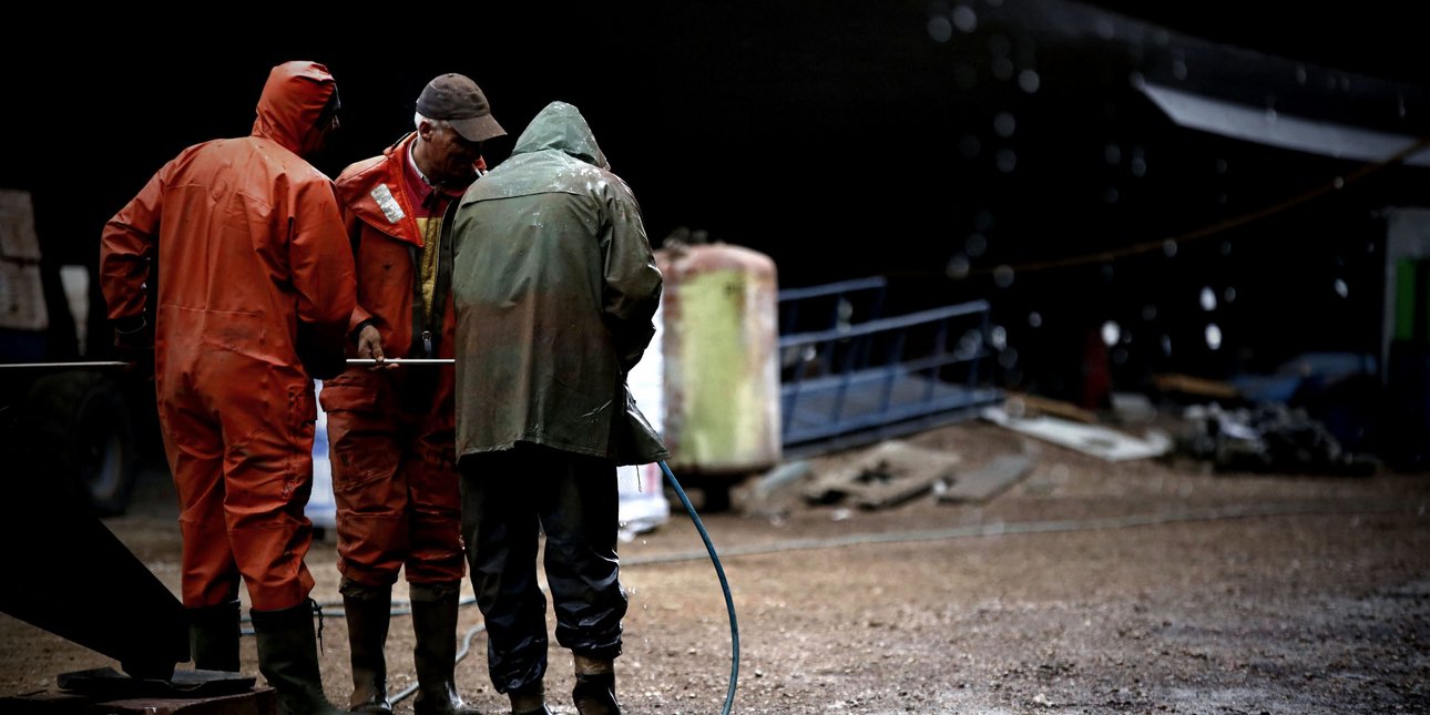 Εργατικά ατυχήματα σε πλοίο και ναυπηγείο: Δύο σοβαροί τραυματισμοί σε Αλόννησο και Πέραμα