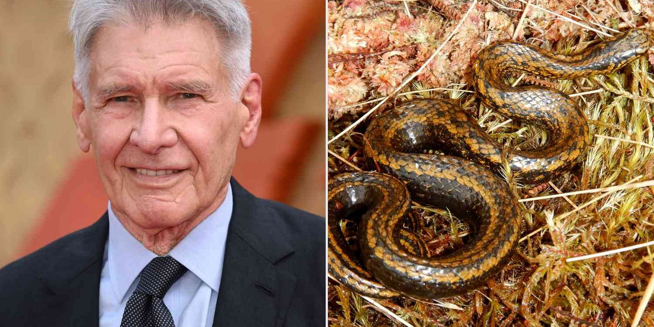 Από τον Μπαράκ Ομπάμα στον Χάρισον Φορντ: Οι διάσημοι που έχουν αράχνες, φίδια και φυτά με το όνομά τους