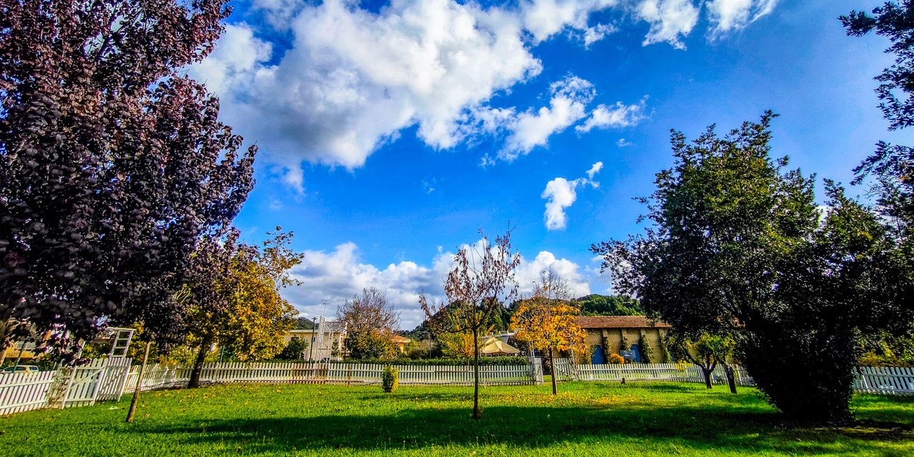 Ηλιόλουστος ο καιρός σήμερα: Ανεβαίνει η θερμοκρασία, θα φτάσει τους 26 βαθμούς