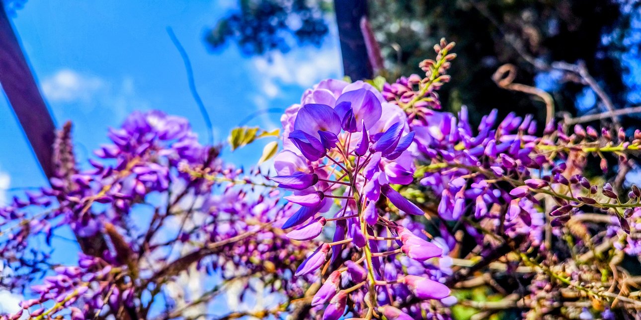 Με ανοιξιάτικο καιρό αρχίζουν να επιστρέφουν οι πρώτοι εκδρομείς -Συννεφιά, σκόνη και τοπικές βροχές από αύριο
