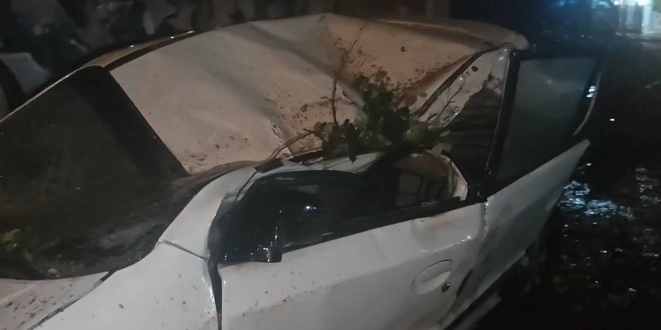 Κακοκαιρία Erminio: Δέντρο ισοπέδωσε αυτοκίνητο στην Ηλιούπολη -Βίντεο