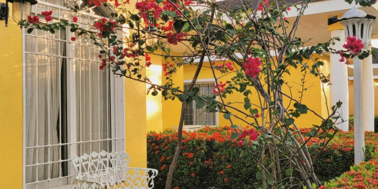 Κήπος: Επτά μυστικά για να τον φτιάξετε μόνοι σας, σαν να τον έχει επιμεληθεί επαγγελματίας