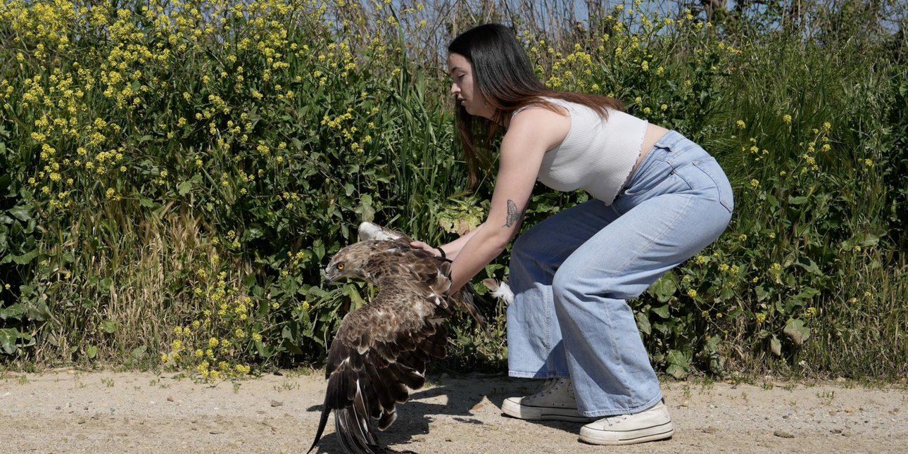 Απελευθέρωση άγριων πουλιών: Στον ουρανό και πάλι πτηνά που είχαν τραυματιστεί [εικόνες]