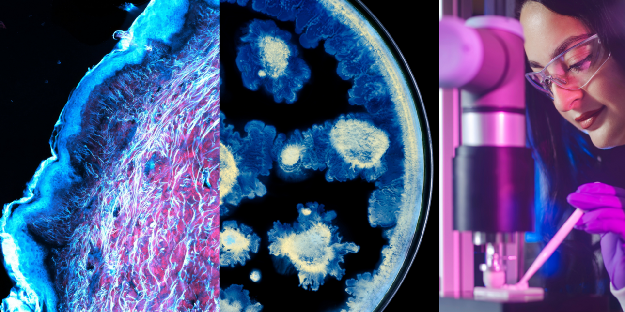 L’oreal & Institut Pasteur: Μια ιστορική συνεργασία για την προαγωγή της επιστήμης της υγείας της επιδερμίδας