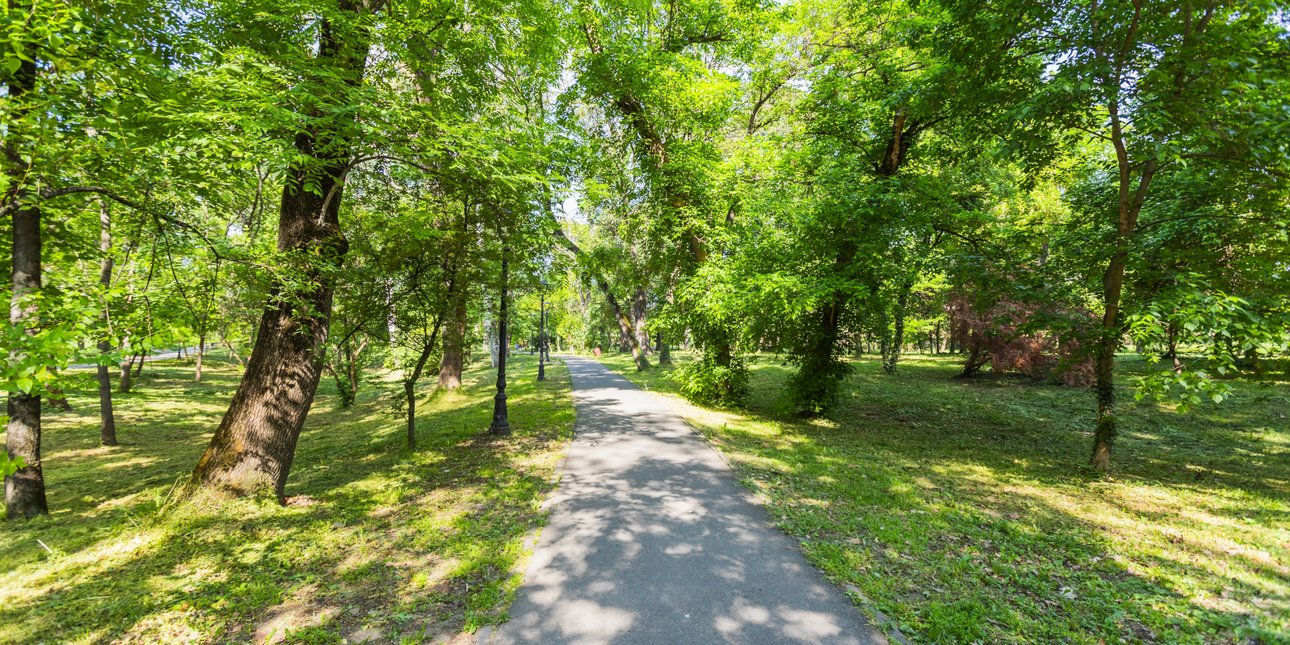 Εμφανίστηκε αρκούδα στο Ωραιόκαστρο -Οδηγίες προς εκδρομείς, επτά συμβουλές αν ανταμώσετε