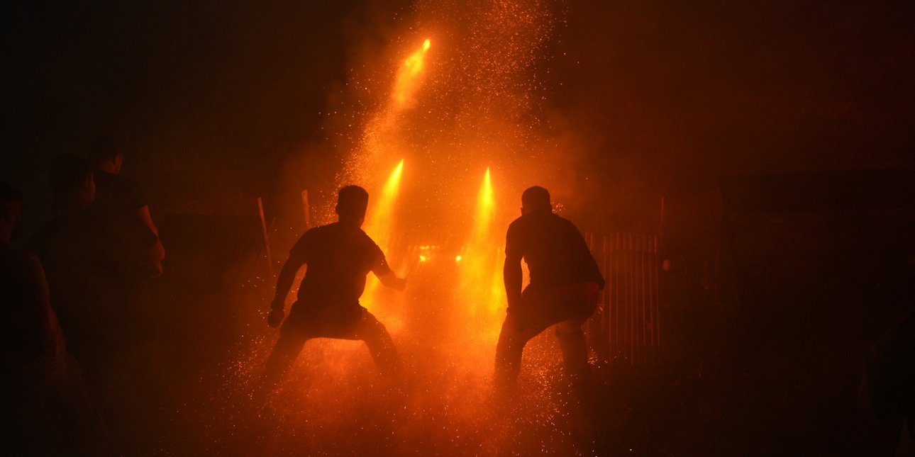 ΝΕΜΕΣΙΣ: Να μπει τέλος στα θορυβώδη πυροτεχνήματα που «τραυματίζουν» ζώα και περιβάλλον