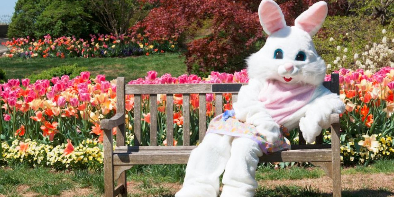 Το λαγουδάκι του Πάσχα και οι παγανιστικές ρίζες μιας σύγχρονης παράδοσης -Μάγισσες, θεές και ποπ κουλτούρα