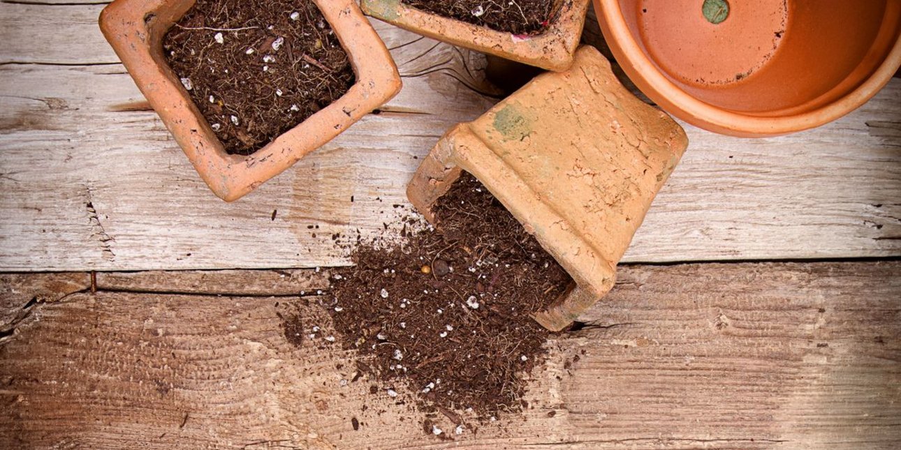 Χρειάζεται να αντικαταστήσετε το παλιό χώμα γλάστρας πριν προσθέσετε νέα φυτά;