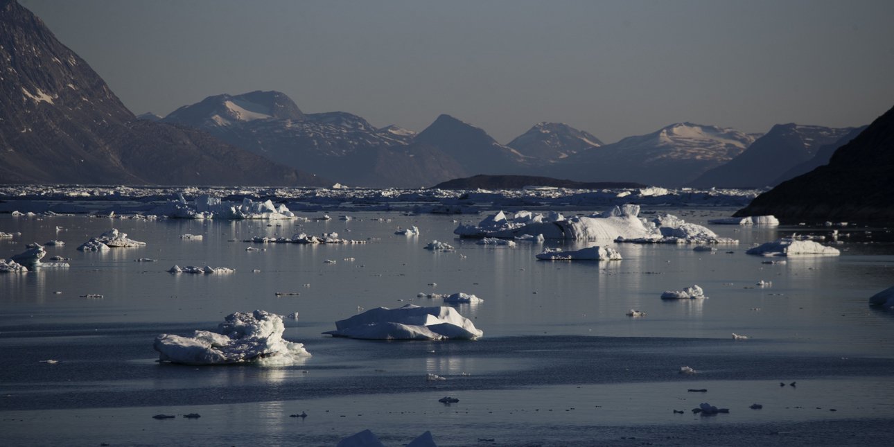 Επιστήμονες αναβίωσαν μικρόοργανισμό 24.000 ετών που είχε παγώσει στη Σιβηρία -Ξύπνησε και άρχισε να αναπαράγεται