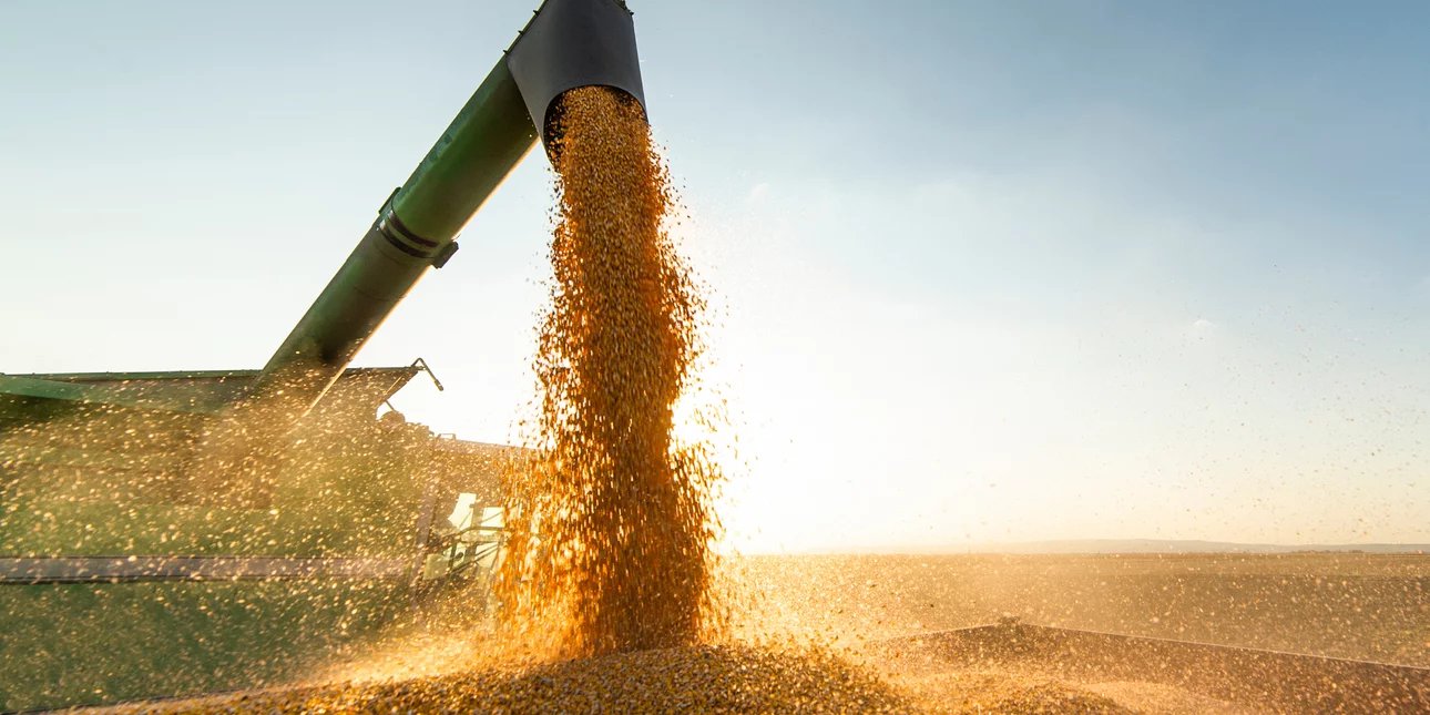 Κρίση στο Ορμούζ: Ορατός ο κίνδυνος παγκόσμιας επισιτιστικής κρίσης -Καθυστερημένο «σοκ» στις τιμές τροφίμων βλέπουν αναλυτές