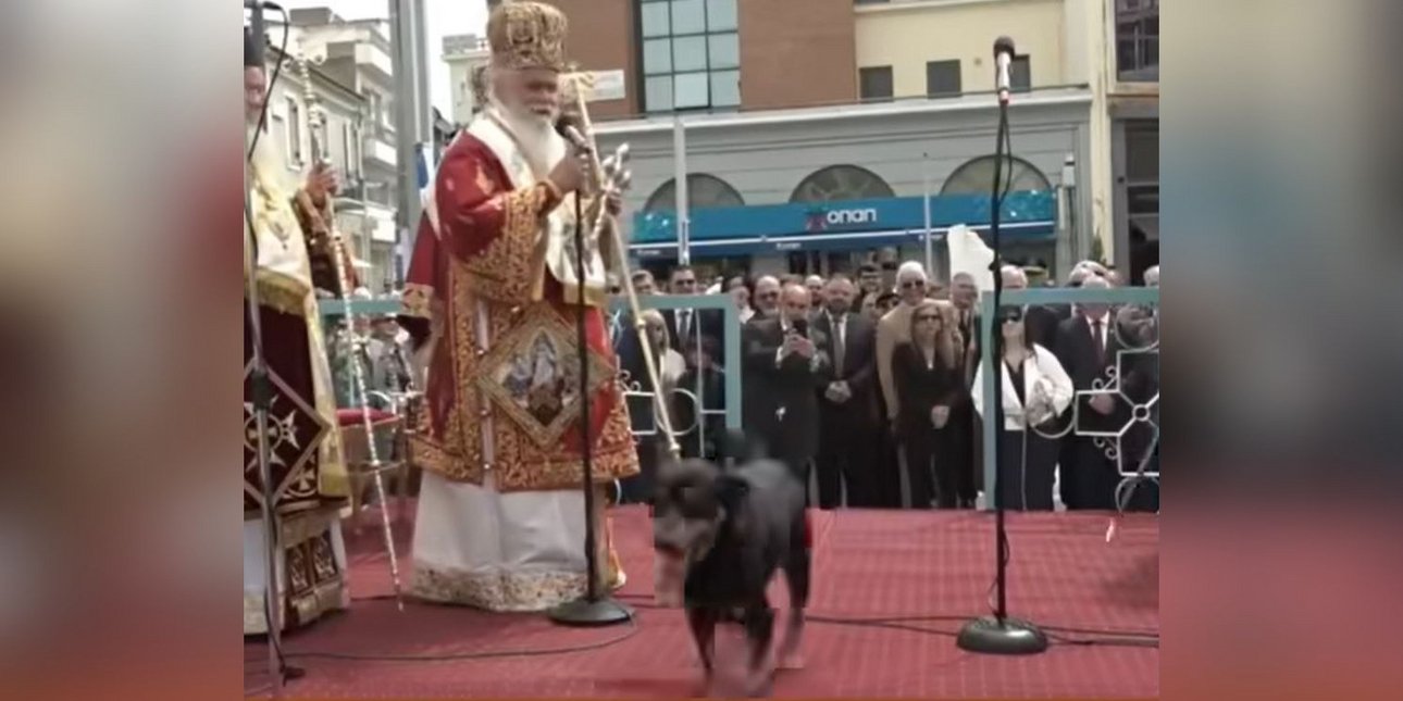 Αίγιο: Αδέσποτος σκύλος «έκλεψε την παράσταση» στη Δέηση της Παναγίας Τρυπητής -Η χιουμοριστική αντίδραση του Μητροπολίτη [βίντεο]