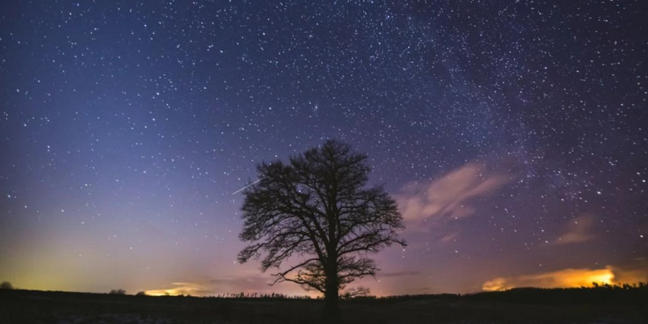 Εβδομαδιαίες προβλέψεις: Τα ζώδια που βλέπουν τις προσπάθειές τους να δικαιώνονται