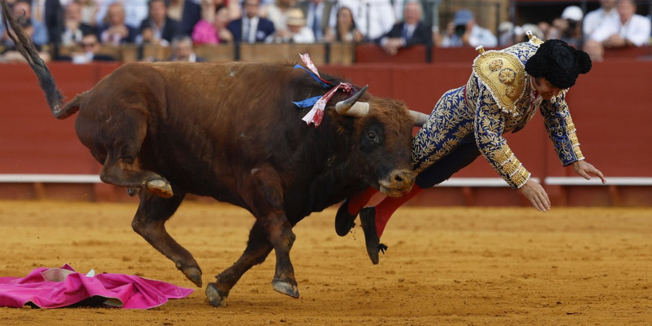Βίντεο: Ταύρος κάρφωσε στα οπίσθια τον «βασιλιά των ταυρομαχιών» της Ισπανίας -Ο φριχτός τραυματισμός