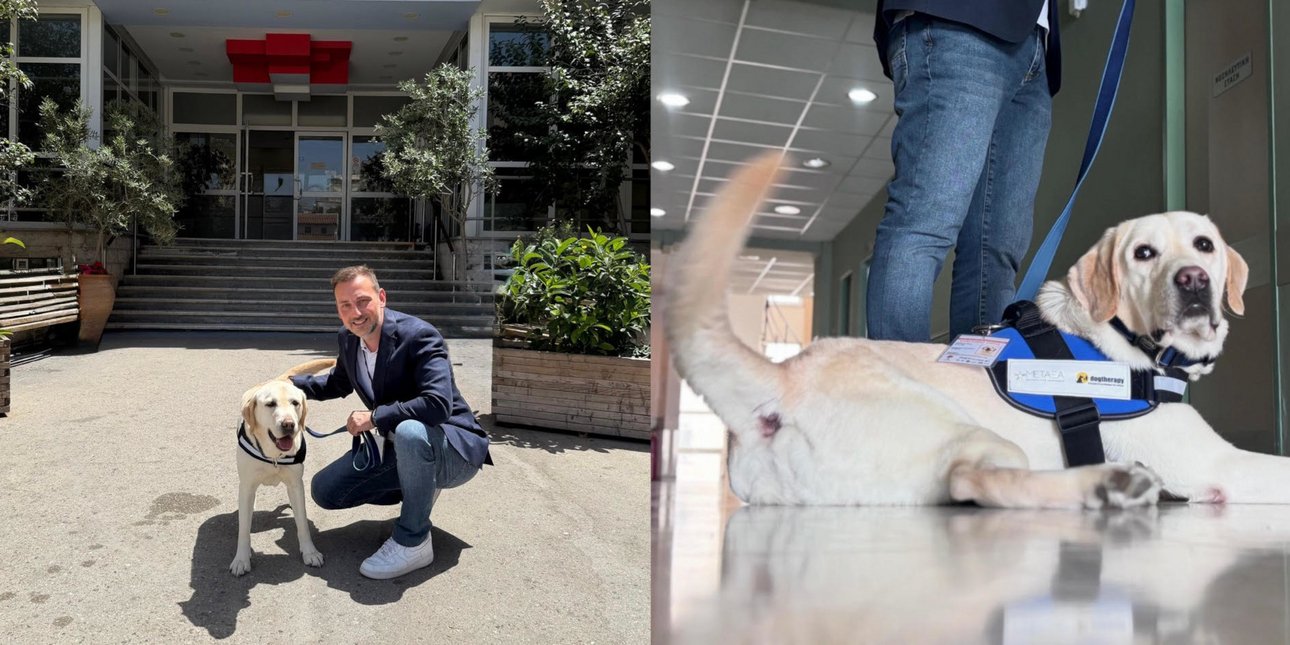 Ο Ντύλαν, σκύλος θεραπείας που εντάχθηκε στο ΕΣΥ, «έπιασε δουλειά» στο Νοσοκομείο «Μεταξά»