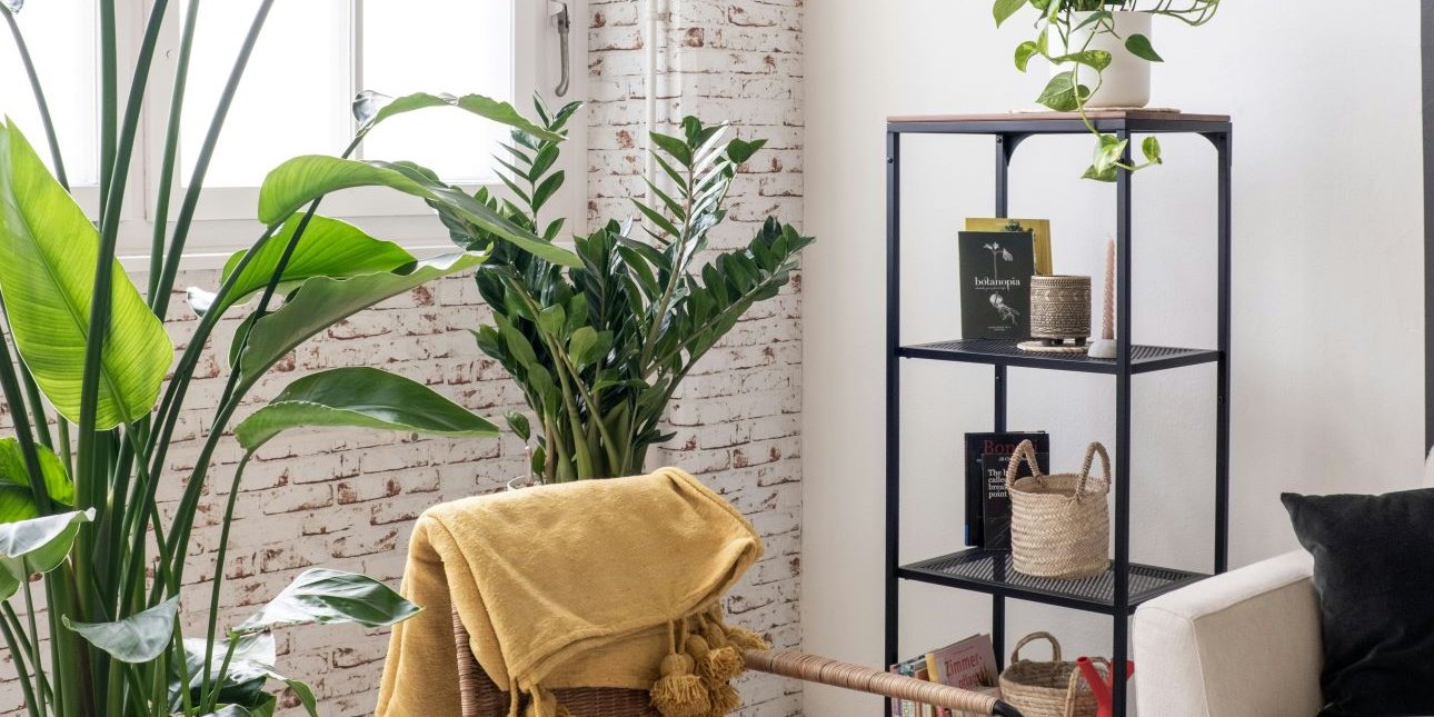 Το έξυπνο αντικείμενο από τα IKEA που μεταμορφώνει τον τοίχο σε πράσινη όαση