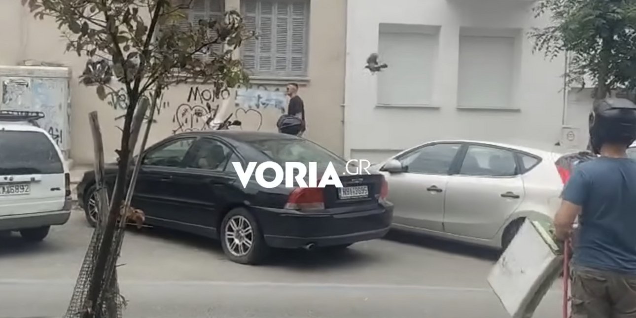 Κοράκι επιτίθεται σε περαστικούς στη Θεσσαλονίκη
