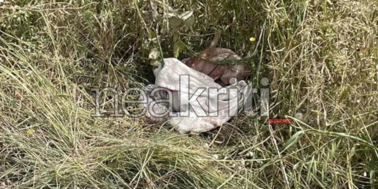 Κρήτη: Σε αυτό το σημείο βρέθηκε αιμόφυρτη η 28χρονη που την παρέσυρε με όχημα ο σύζυγός της -Νοσηλεύεται με διάσειση