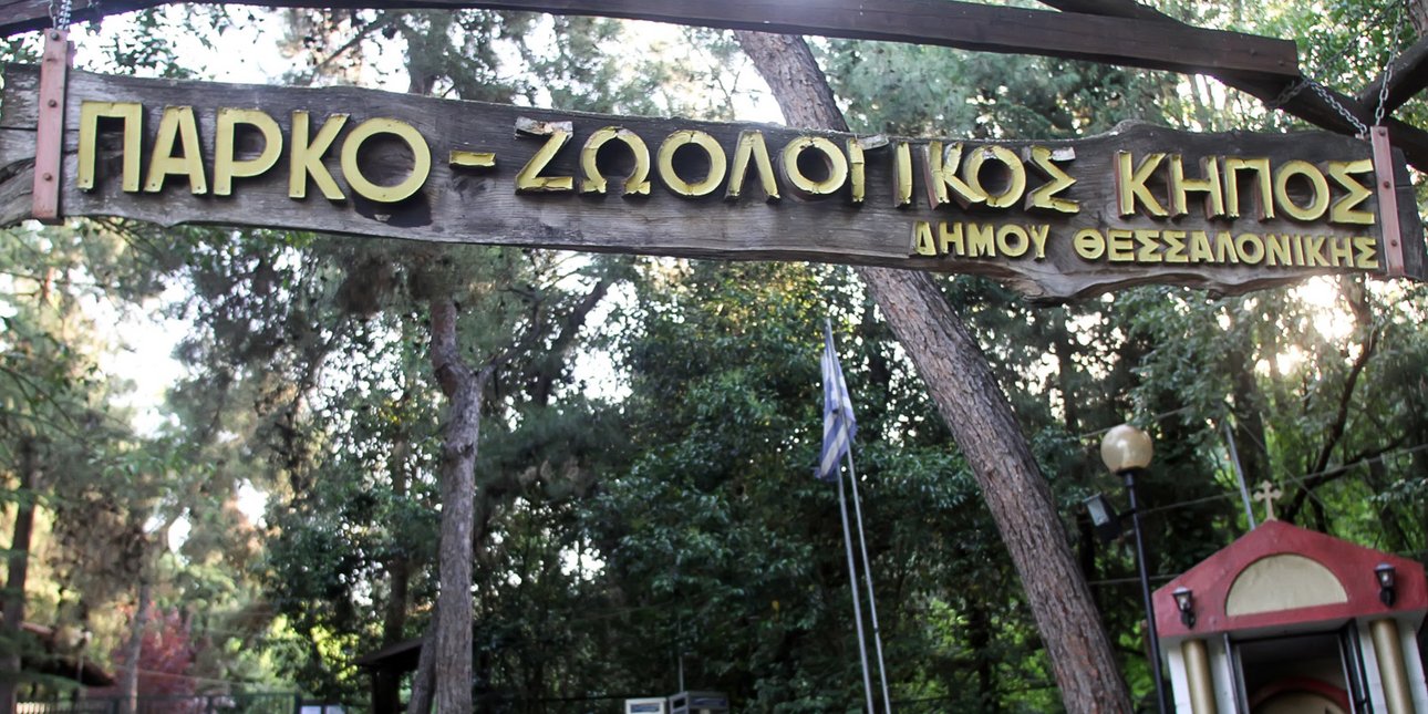Θεσσαλονίκη: Σε καραντίνα παραμένει ο ζωολογικός κήπος - Νέο κρούσμα μελιταίου πυρετού