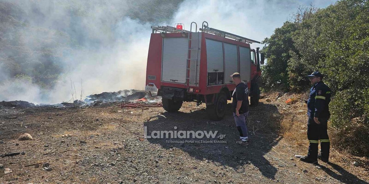Σε ύφεση η φωτιά στον Ασπρόκαμπο Φθιώτιδας -Συνεχίζουν να επ