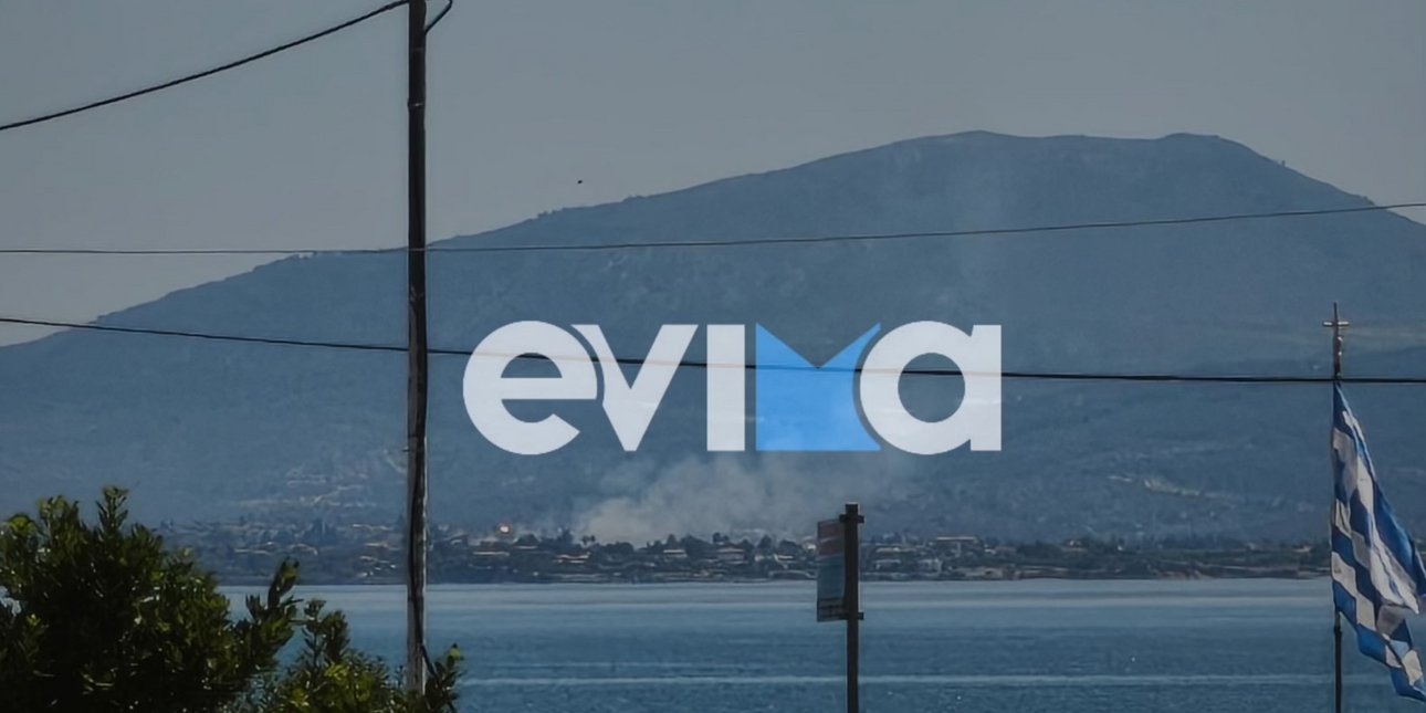 Φωτιά στην Εύβοια -Επιχειρούν ισχυρές δυνάμεις της Πυροσβεστικής