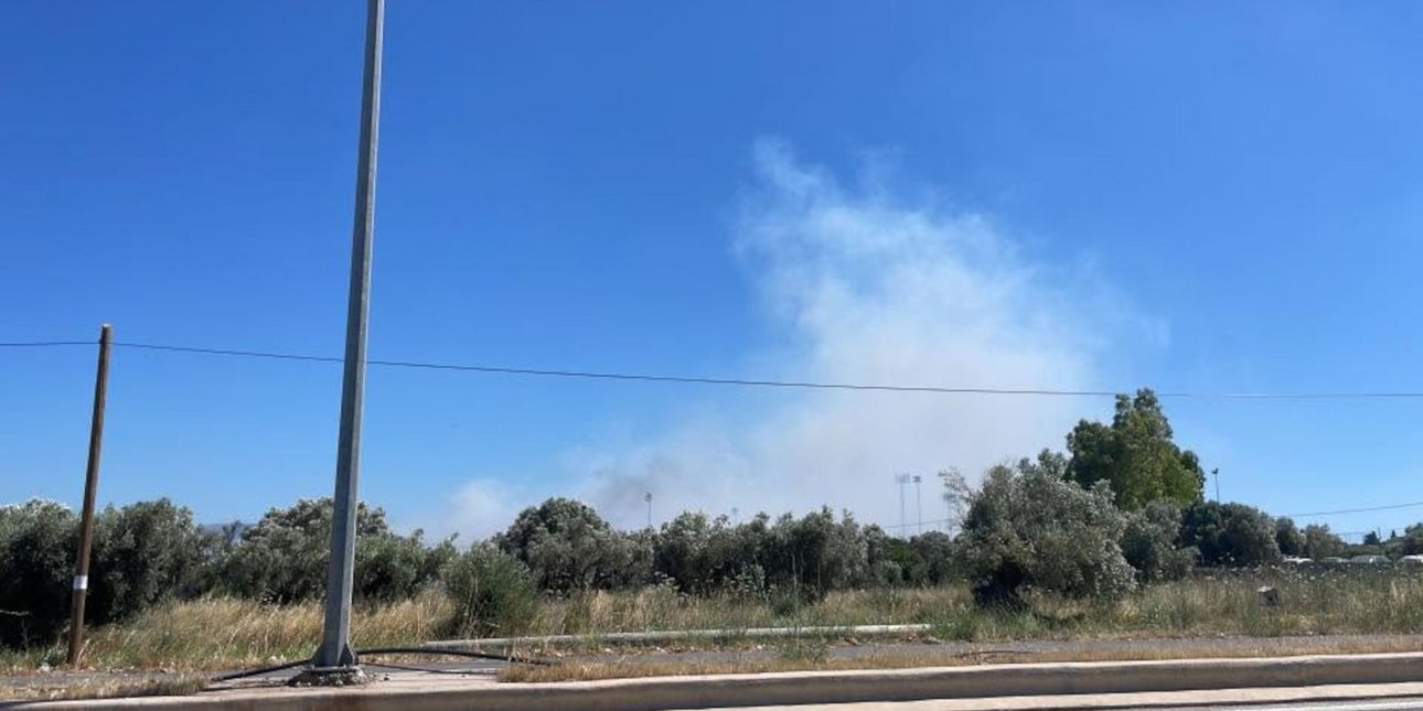 Φωτιά στο Ακραίφνιο Βοιωτίας