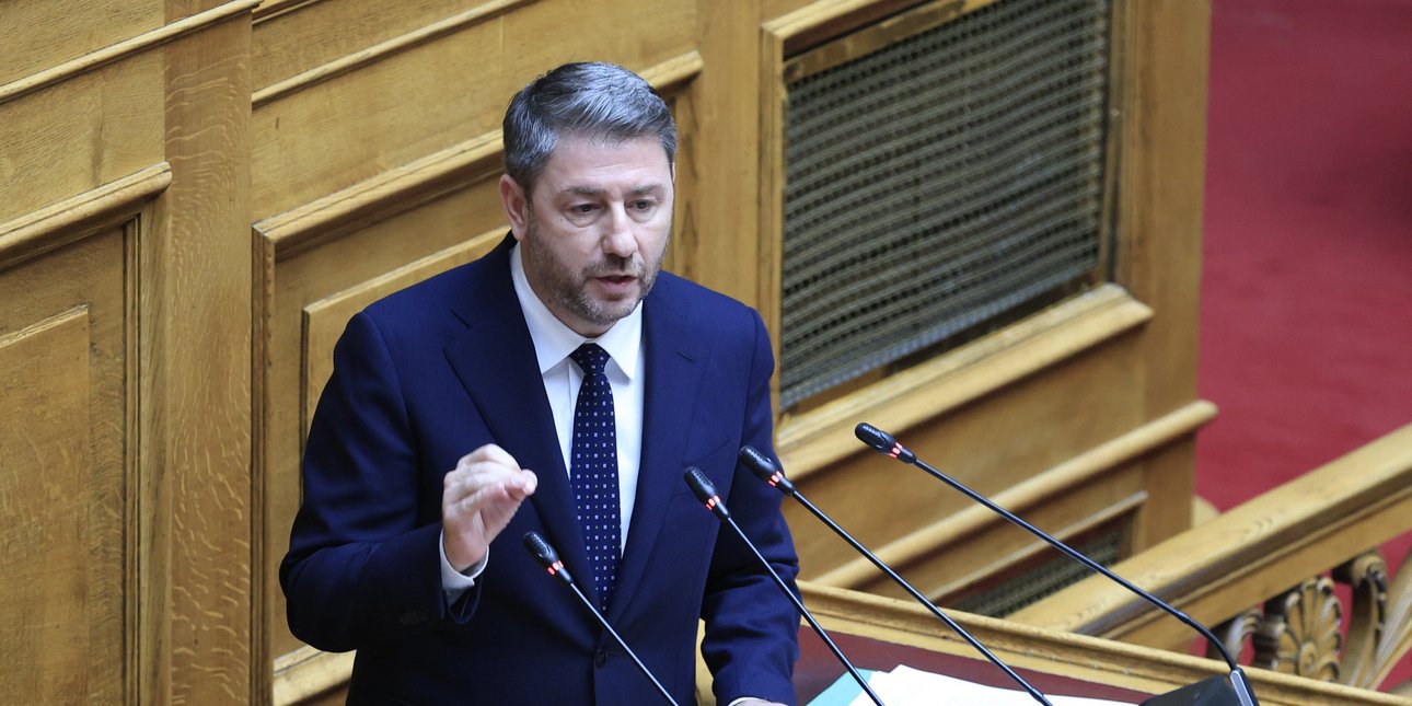 Ανδρουλάκης: Χρειάζεται δυναμική παρέμβαση με μείωση του ΕΦΚ - Η πολιτική της κυβέρνησης γεννά ιδιωτικές κλινικές