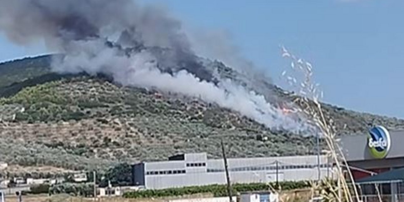 Φωτιά στο Σπαθοβούνι Κορινθίας