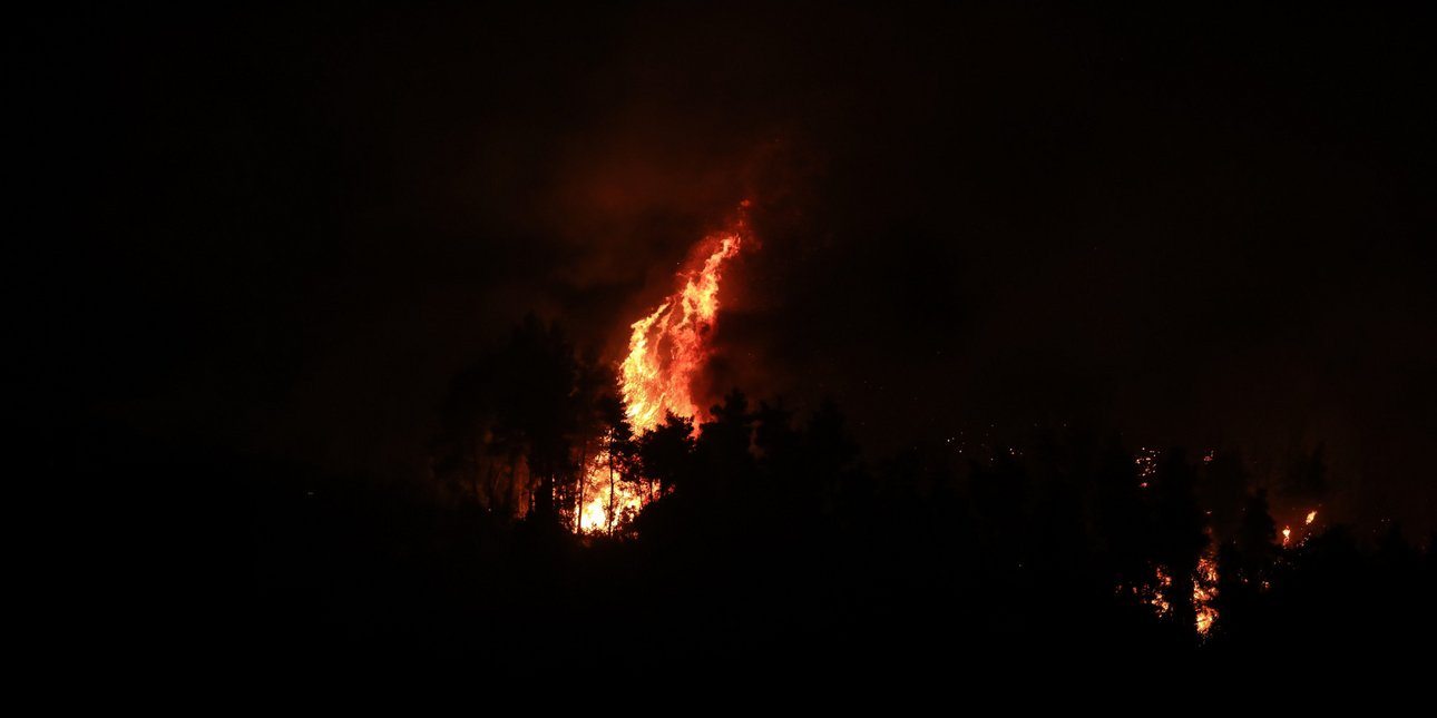 Ολονύχτια μάχη με τις φλόγες στον Άγιο Βλάσιο Βοιωτίας -Συνολικά 39 αγροτοδασικές πυρκαγιές το τελευταίο 24ωρο