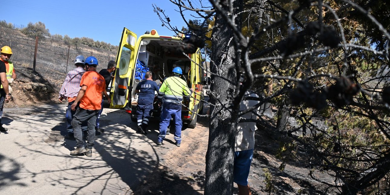  Κορμός δέντρου καταπλάκωσε υπάλληλο συνεργείου του ΔΕΔΔΗΕ στην Αργολίδα - (ΒΑΣΙΛΗΣ ΠΑΠΑΔΟΠΟΥΛΟΣ/EUROKINISSI)
