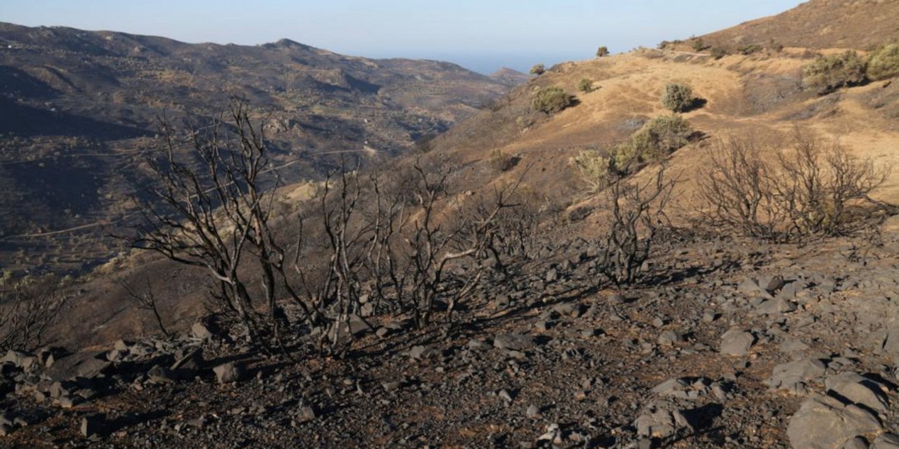 Καμένη έκταση στο Ρέθυμνο μετά τη φωτιά