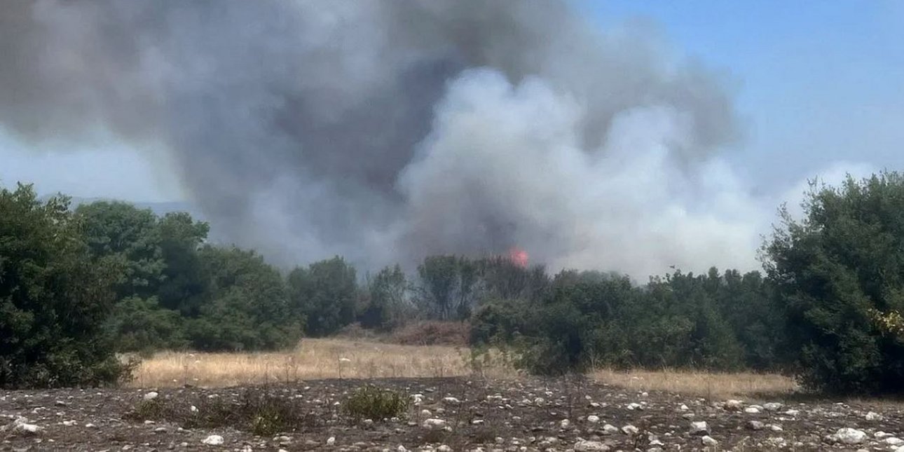 Φωτιά στη Βροντού Πιερίας
