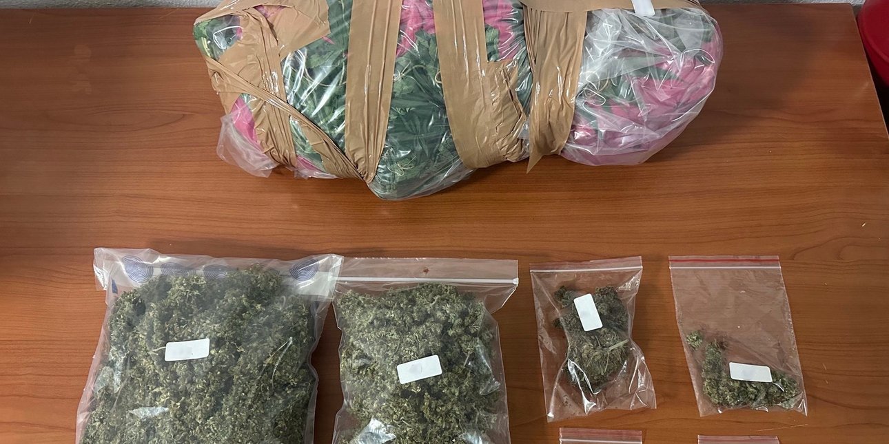 Κατερίνη: Μία σύλληψη για καλλιέργεια δενδρυλλίων κάνναβης και κατοχή ναρκωτικών