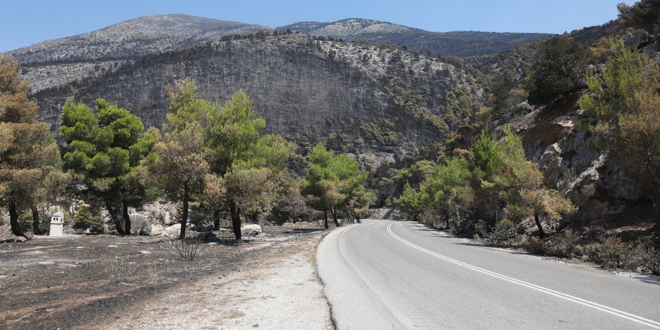 Η επόμενη ημέρα μετά τις φωτιές στη Δυτική Αττική -Τα έργα Antinero, η αποκατάσταση και η «μάχη» πριν από τις βροχές
