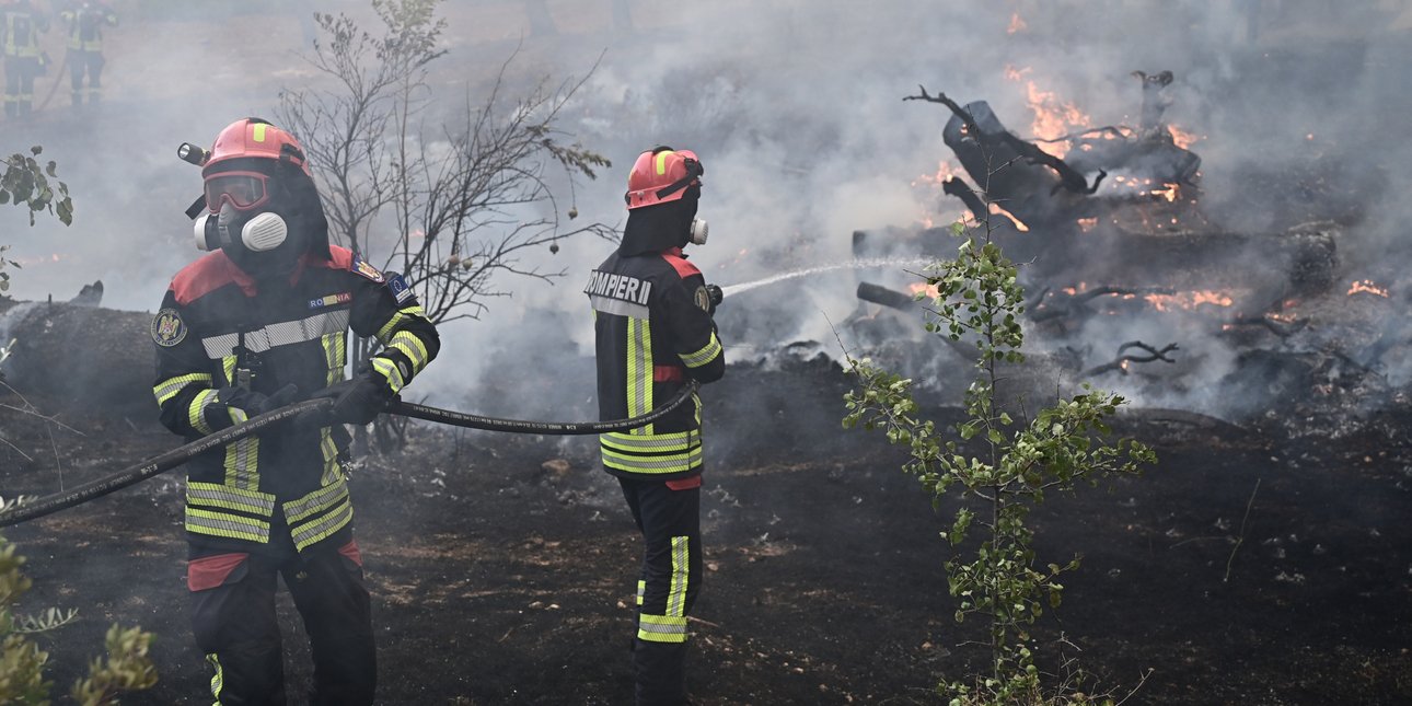 Ομοσπονδία Γεωτεχνικών Δημοσίων Υπαλλήλων: Το Antinero συνέβαλε ουσιαστικά στον περιορισμό της φωτιάς στη Χαλκιδική
