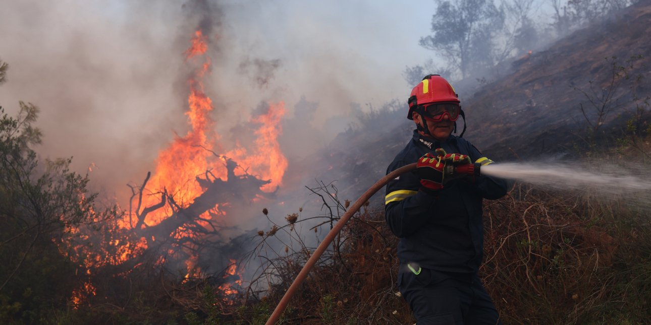 Πρόεδρος Ιατρικού Συλλόγου Χαλκιδικής για φωτιές: Μέσα στην καταστροφή, δεν χάθηκε ανθρώπινη ζωή -Ένα μεγάλο ευχαριστώ