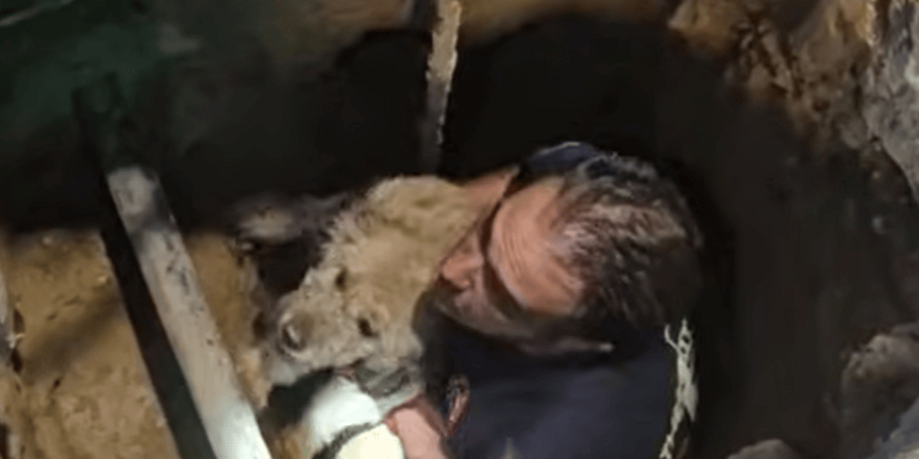 Πυροσβέστης διέσωσε σκύλο 