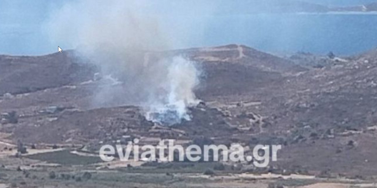 Εύβοια: Φωτιά στην Κάρυστο, ήχησε το 112