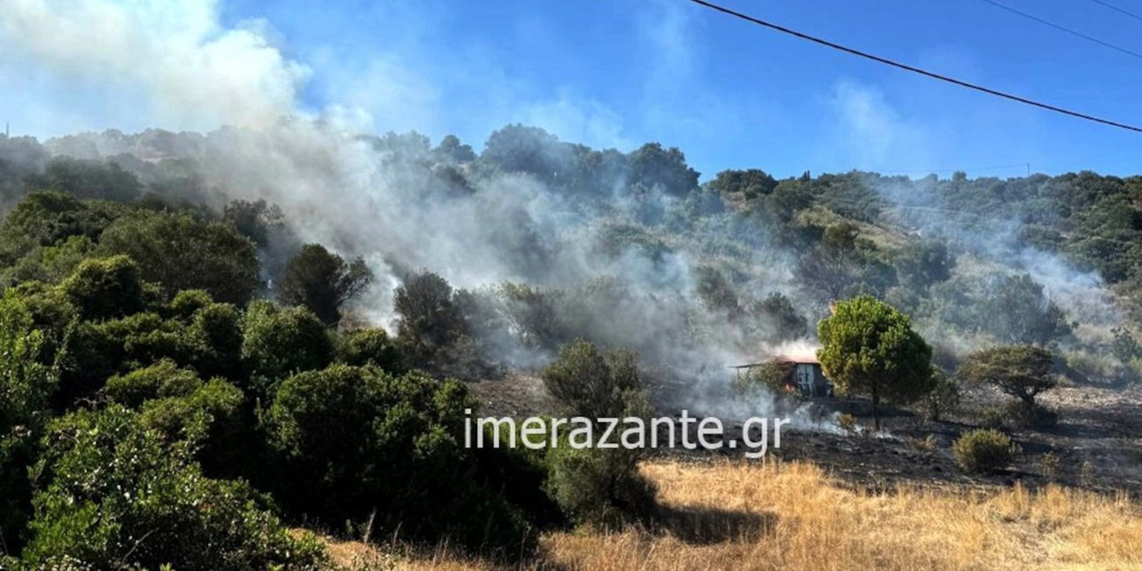 Φωτιά σε αγροτοδασική έκταση στη Ζάκυνθο, επιχειρούν 6 εναέρια