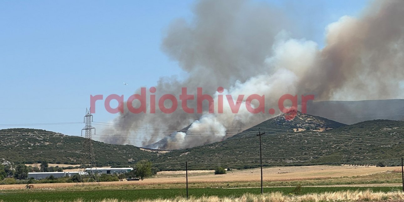 Φωτιά στη Θήβα: Ενισχύθηκαν οι πυροσβεστικές δυνάμεις - Επιχειρούν 14 εναέρια μέσα