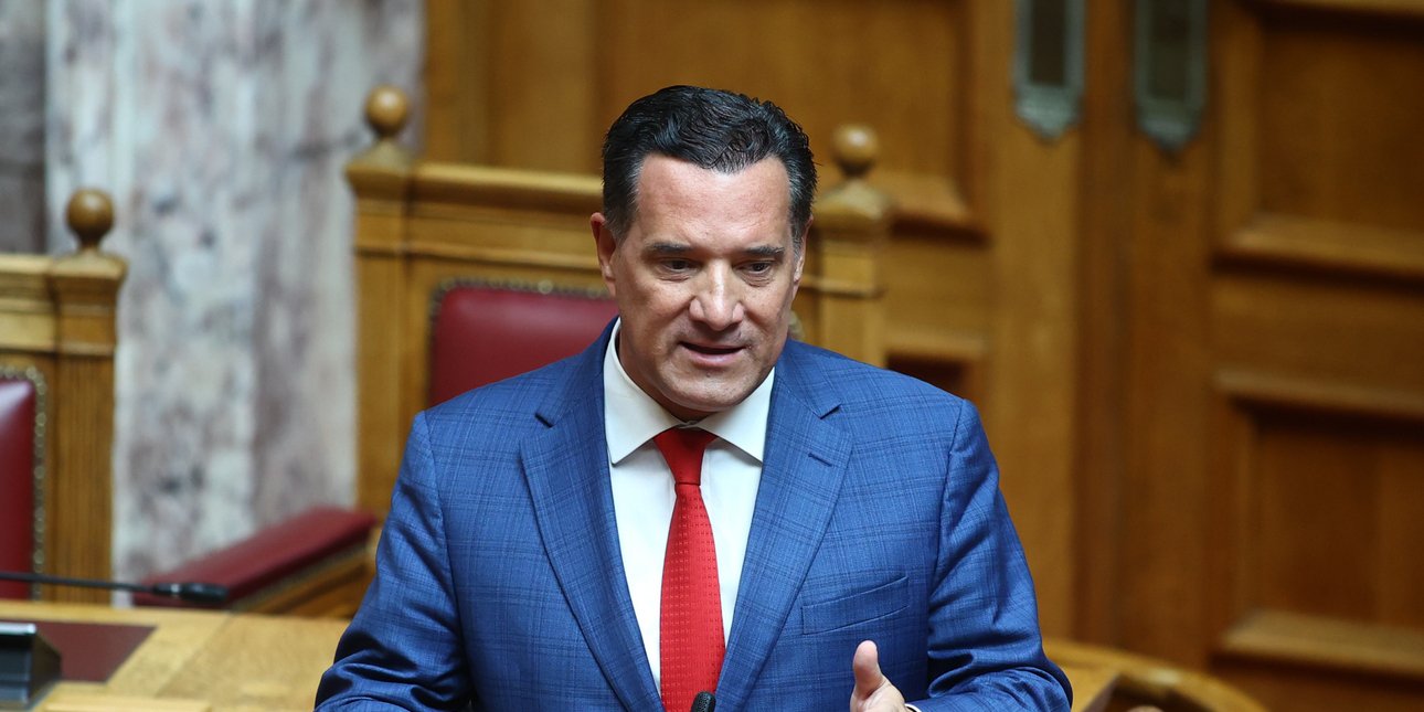Γεωργιάδης για Γάκα: Έχουμε την περίπτωση μιας απατεώνισσας που παραβίασε εν γνώσει της τους νόμους -Δεν υπήρχε έγγραφη καταγγελία σε βάρος της
