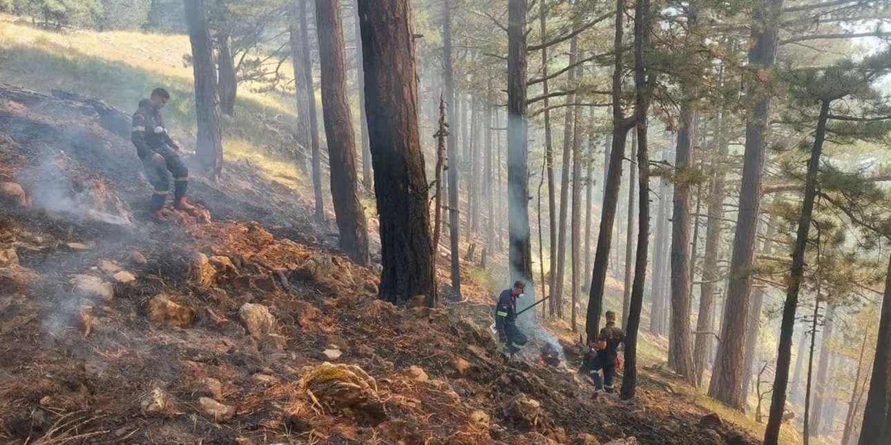 Νέες αναζωπυρώσεις στη φωτιά της Τραπεζίτσας στην Κόνιτσα
