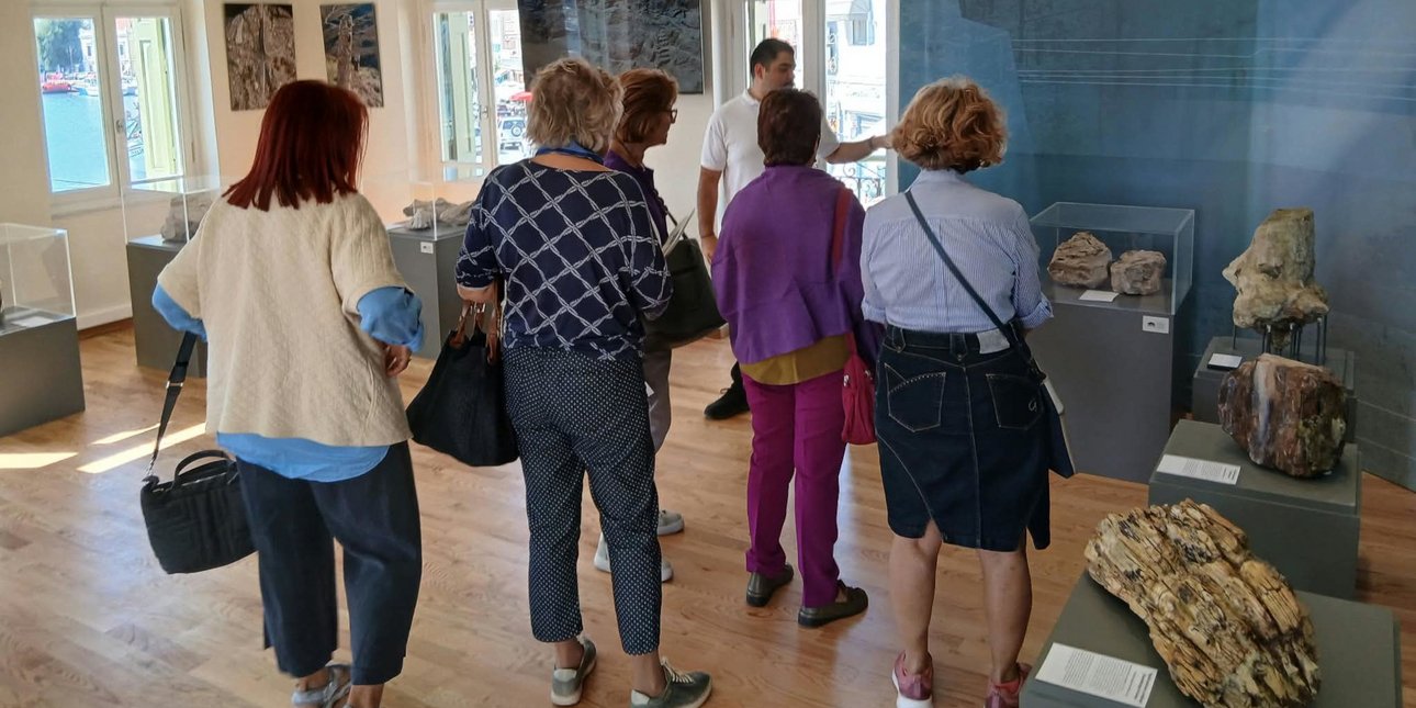 Λέσβος: Εντυπωσιακά νέα ευρήματα από το απολιθωμένο δάσος -Εγκαίνια της έκθεσης στο παλιό Λιμεναρχείο
