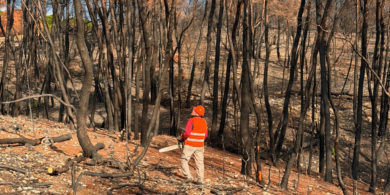 Από την αποκατάσταση στην πρόληψη: Πώς τα αντιδιαβρωτικά έργα προστατεύουν τις πυρόπληκτες περιοχές