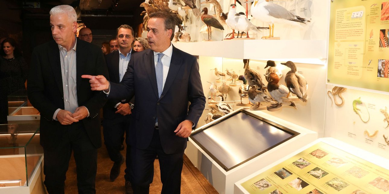 παπασταυρου κρητη