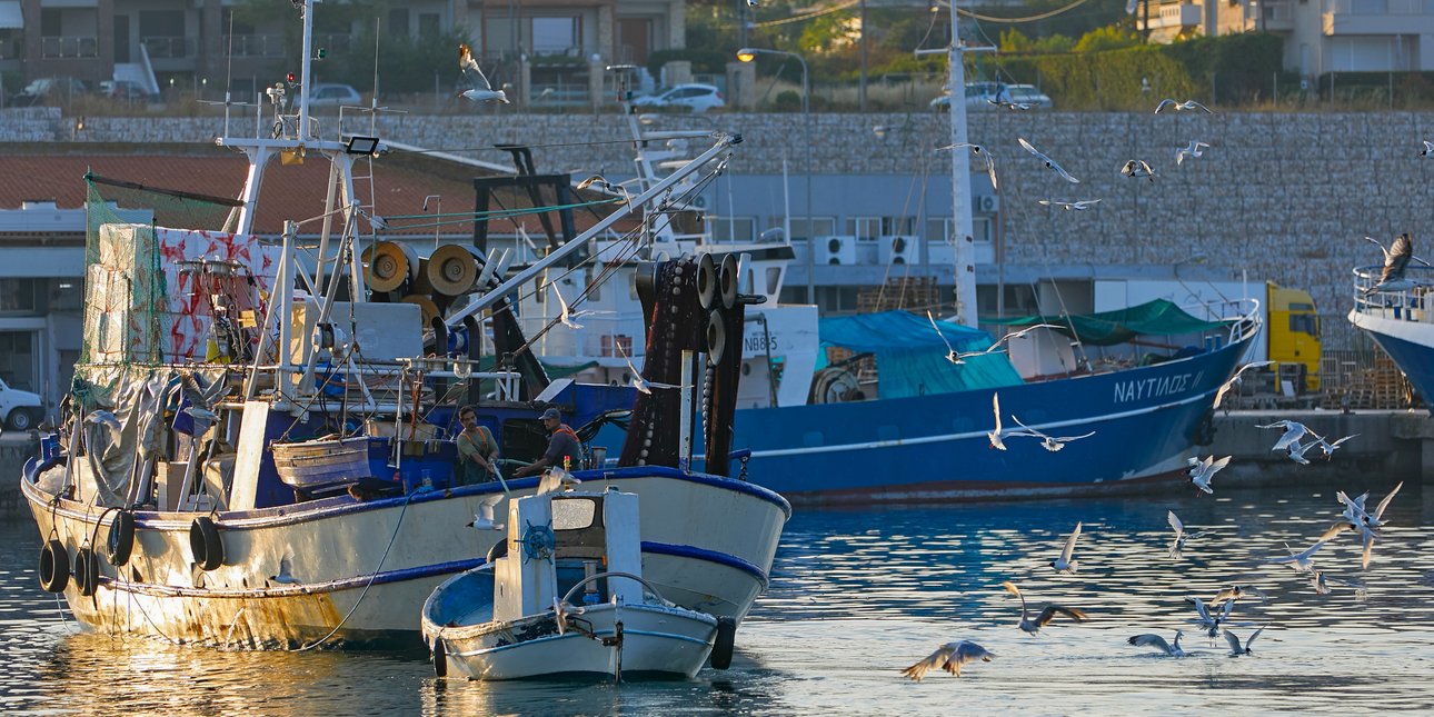 Ο «χάρτης» των αλιευτικών καταφυγίων στη Βόρεια Ελλάδα: Πού βρίσκονται, πόσοι δένουν -Οι παροχές