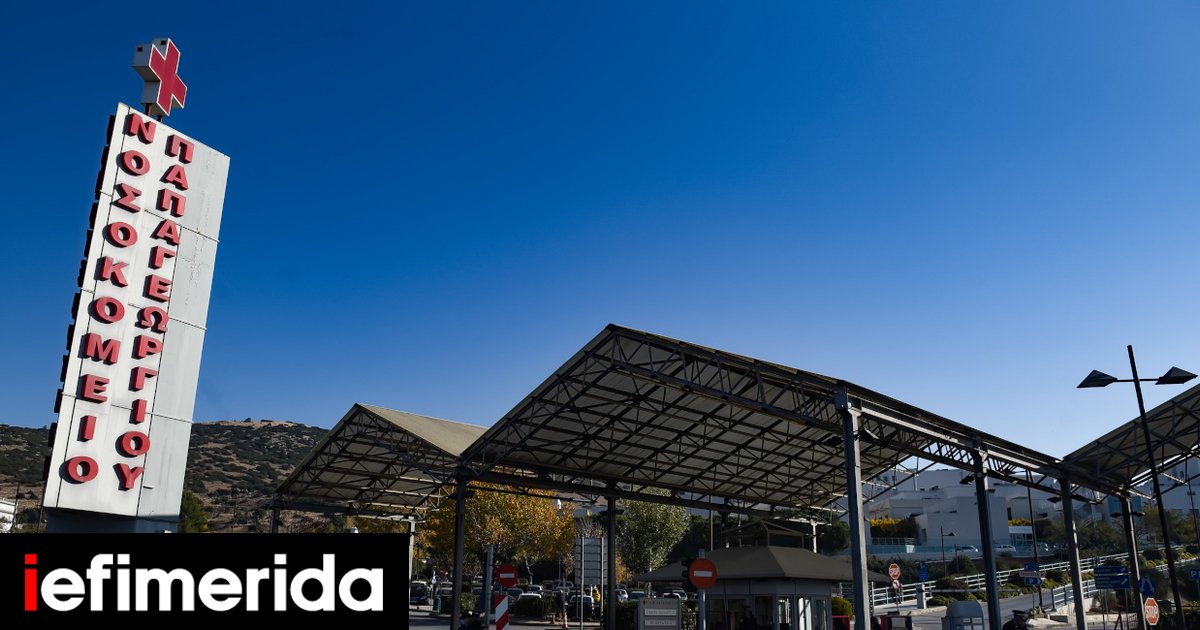 Θεσσαλονίκη: Σκύλος δάγκωσε 4χρονο κοριτσάκι | ΕΛΛΑΔΑ