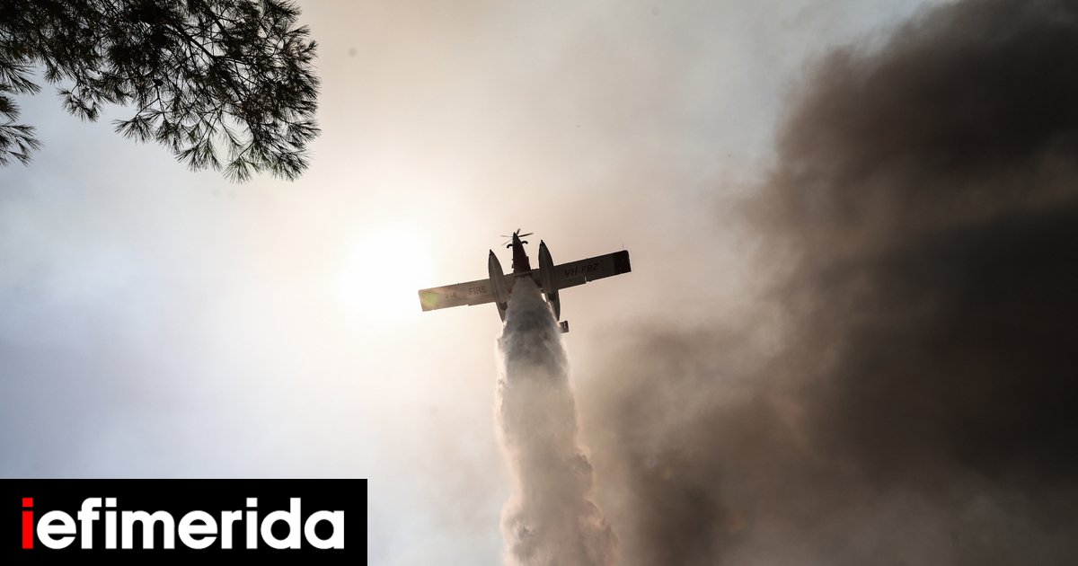 Φωτιές στη Μακεδονία: Καλύτερη η εικόνα σε Χαλκιδική, Κιλκίς -Καίγεται δάσος στα Γρεβενά | ΕΛΛΑΔΑ