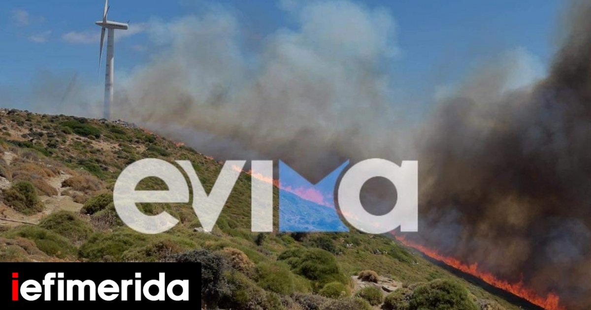 Φωτιά στην Εύβοια: Μήνυμα του 112 για προληπτική εκκένωση στα Μεσοχώρια Καρύστου | ΕΛΛΑΔΑ