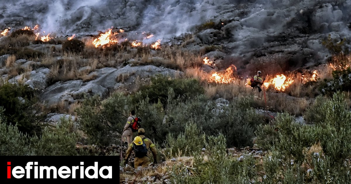 Φωτιές: Καλύτερη η εικόνα σε Μεσοχώρια Εύβοιας και Αρχαία Κόρινθο -Πόσες δυνάμεις επιχειρούν | ΕΛΛΑΔΑ
